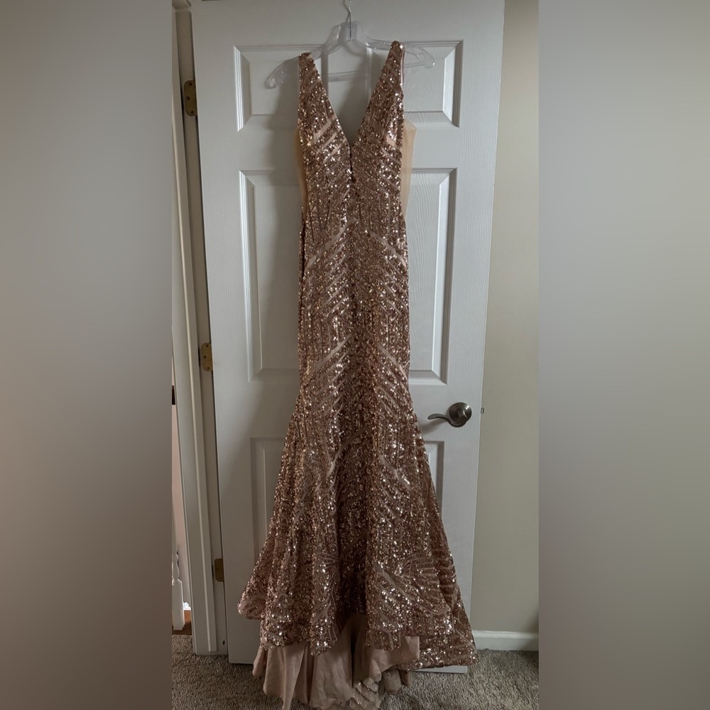 Jovani Elegant Gown in Blush